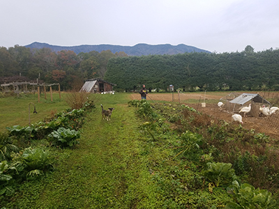 middle school teacher working in garden by themselves