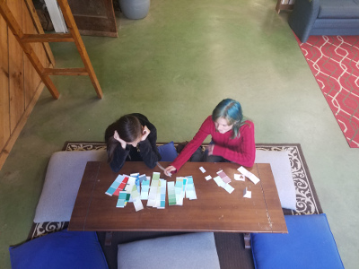 middle schooler picking out paint samples